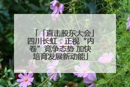 「直击股东大会」四川长虹：正视“内卷”竞争态势 加快培育发展新动能