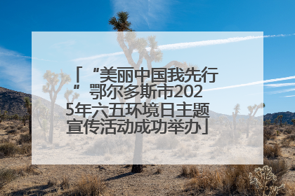 “美丽中国我先行”鄂尔多斯市2025年六五环境日主题宣传活动成功举办