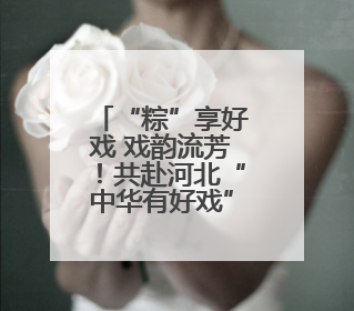 “粽”享好戏 戏韵流芳！共赴河北“中华有好戏”特别之约