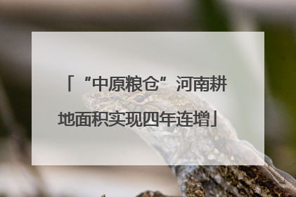“中原粮仓”河南耕地面积实现四年连增