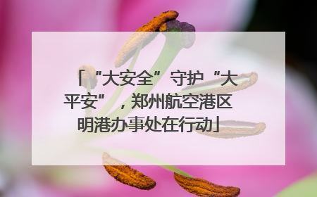 “大安全”守护“大平安”，郑州航空港区明港办事处在行动