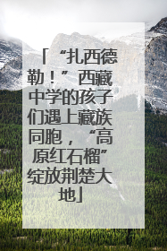 “扎西德勒！”西藏中学的孩子们遇上藏族同胞，“高原红石榴”绽放荆楚大地