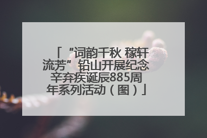 “词韵千秋 稼轩流芳”铅山开展纪念辛弃疾诞辰885周年系列活动（图）
