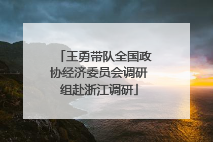 王勇带队全国政协经济委员会调研组赴浙江调研