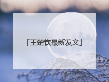 王楚钦最新发文