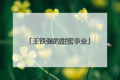 王铁强的甜蜜事业