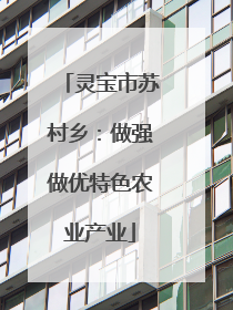 灵宝市苏村乡：做强做优特色农业产业