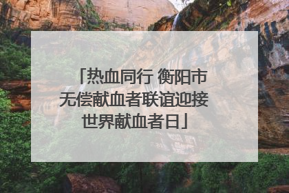 热血同行 衡阳市无偿献血者联谊迎接世界献血者日