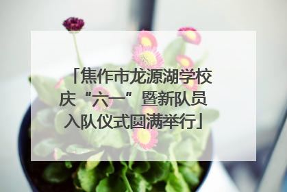 焦作市龙源湖学校庆“六一”暨新队员入队仪式圆满举行