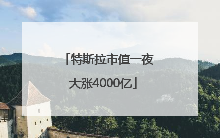 特斯拉市值一夜大涨4000亿