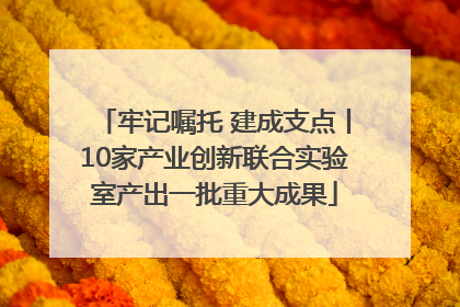 牢记嘱托 建成支点丨10家产业创新联合实验室产出一批重大成果