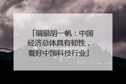 瑞银胡一帆：中国经济总体具有韧性，看好中国科技行业