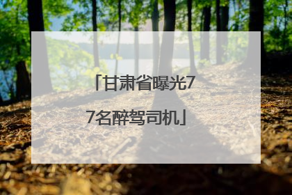 甘肃省曝光77名醉驾司机