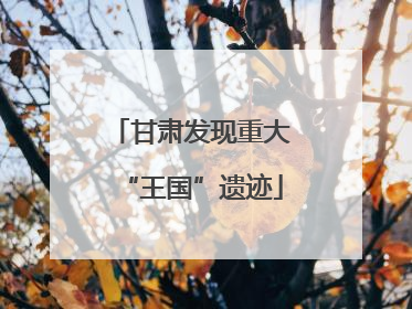 甘肃发现重大“王国”遗迹