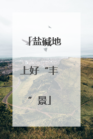 盐碱地上好“丰”景