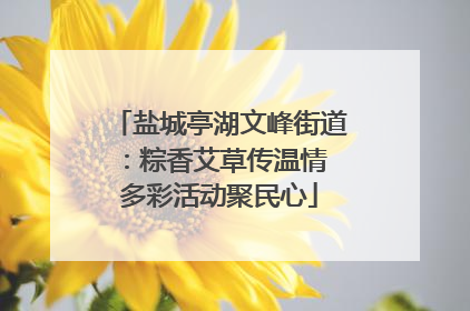 盐城亭湖文峰街道：粽香艾草传温情 多彩活动聚民心