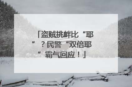 盗贼挑衅比“耶”？民警“双倍耶”霸气回应！