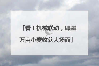 看！机械联动，即墨万亩小麦收获大场面