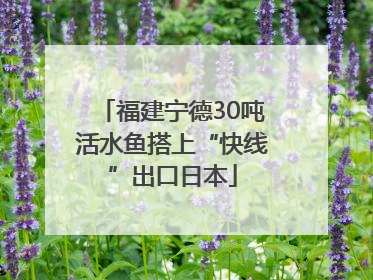 福建宁德30吨活水鱼搭上“快线”出口日本