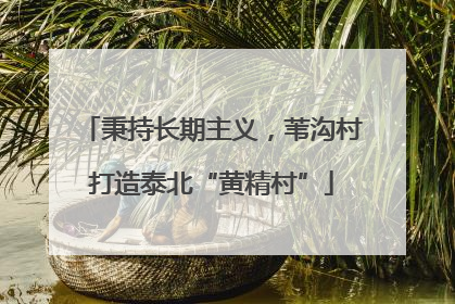 秉持长期主义，苇沟村打造泰北“黄精村”