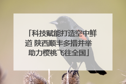 科技赋能打造空中鲜道 陕西顺丰多措并举助力樱桃飞往全国
