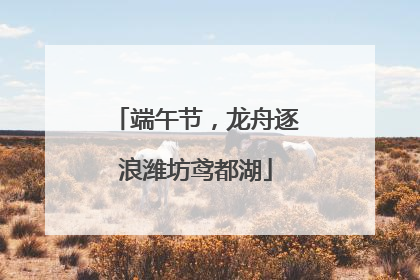 端午节，龙舟逐浪潍坊鸢都湖