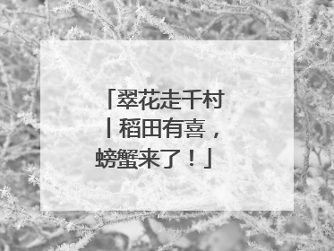 翠花走千村丨稻田有喜，螃蟹来了！