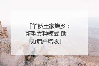 羊桥土家族乡：新型套种模式 助力增产增收