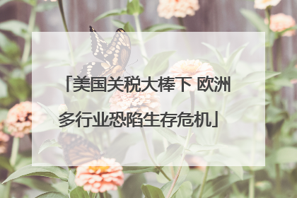 美国关税大棒下 欧洲多行业恐陷生存危机