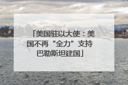 美国驻以大使：美国不再“全力”支持巴勒斯坦建国