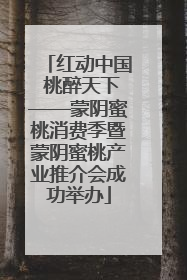 红动中国 桃醉天下——蒙阴蜜桃消费季暨蒙阴蜜桃产业推介会成功举办