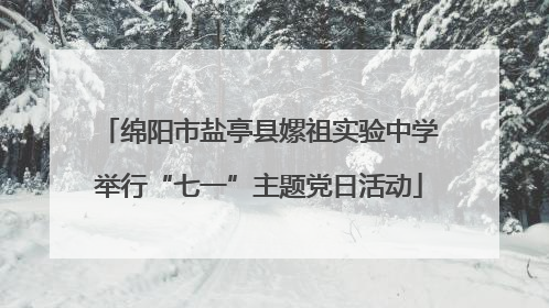 绵阳市盐亭县嫘祖实验中学举行“七一”主题党日活动
