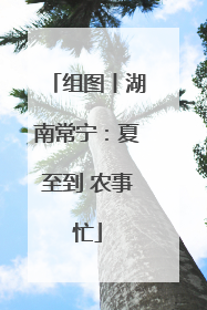 组图丨湖南常宁：夏至到 农事忙