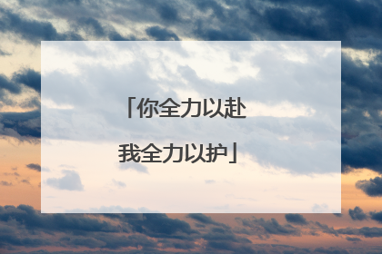 你全力以赴 我全力以护
