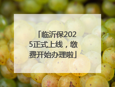 临沂保2025正式上线，缴费开始办理啦