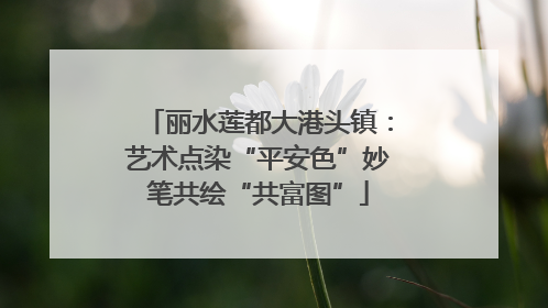 丽水莲都大港头镇：艺术点染“平安色”妙笔共绘“共富图”