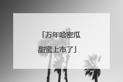 万年哈密瓜甜蜜上市了