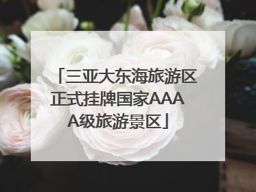三亚大东海旅游区正式挂牌国家AAAA级旅游景区