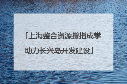 上海整合资源攥指成拳助力长兴岛开发建设