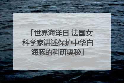 世界海洋日 法国女科学家讲述保护中华白海豚的科研奥秘
