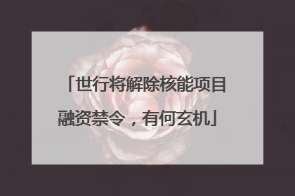 世行将解除核能项目融资禁令，有何玄机