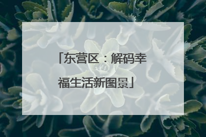 东营区：解码幸福生活新图景