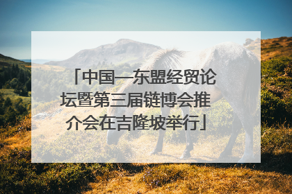 中国—东盟经贸论坛暨第三届链博会推介会在吉隆坡举行