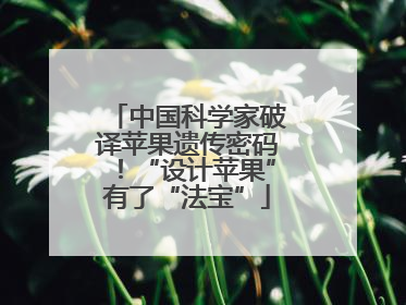 中国科学家破译苹果遗传密码！“设计苹果”有了“法宝”