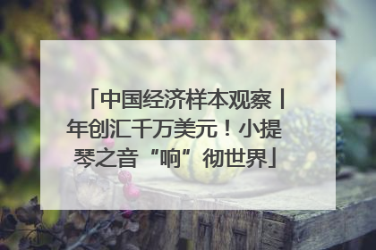 中国经济样本观察丨年创汇千万美元！小提琴之音“响”彻世界