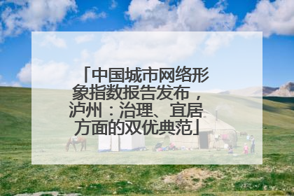 中国城市网络形象指数报告发布，泸州：治理、宜居方面的双优典范
