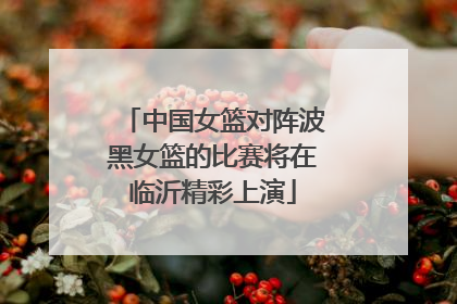 中国女篮对阵波黑女篮的比赛将在临沂精彩上演