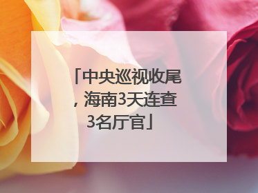 中央巡视收尾，海南3天连查3名厅官