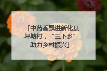 中药香飘进新化县坪塘村，“三下乡”助力乡村振兴