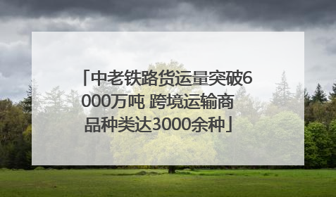 中老铁路货运量突破6000万吨 跨境运输商品种类达3000余种